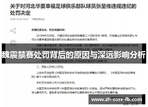 魏震禁赛处罚背后的原因与深远影响分析