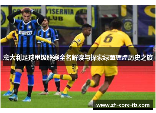 意大利足球甲级联赛全名解读与探索绿茵辉煌历史之旅