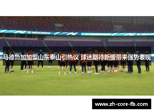 马德鲁加加盟山东泰山引热议 球迷期待新援带来强势表现 马德鲁加加盟山东泰山引热议 球迷期待新援带来强势表现