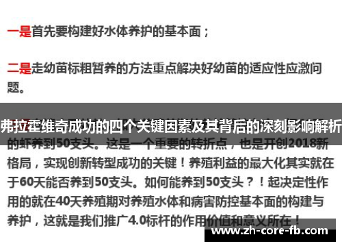 弗拉霍维奇成功的四个关键因素及其背后的深刻影响解析