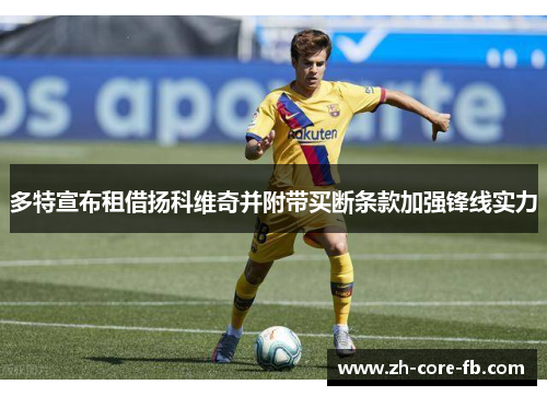 多特宣布租借扬科维奇并附带买断条款加强锋线实力