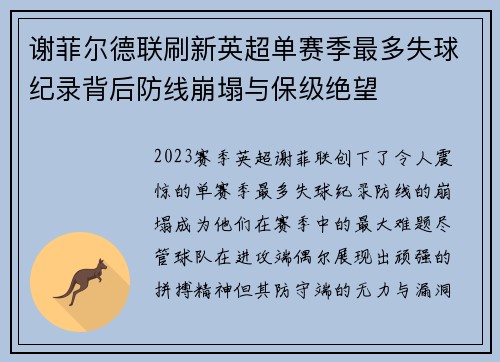 谢菲尔德联刷新英超单赛季最多失球纪录背后防线崩塌与保级绝望 谢菲尔德联刷新英超单赛季最多失球纪录背后防线崩塌与保级绝望