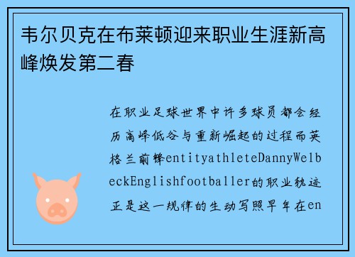 韦尔贝克在布莱顿迎来职业生涯新高峰焕发第二春